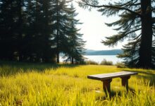 Sabbatical